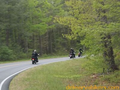 100_0369-640.jpg