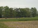 100_0371-640.jpg