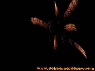 100_1087.jpg