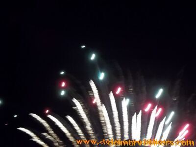 100_1150.jpg