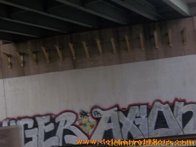 100_1250.jpg