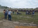100_0654.jpg