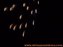 100_1094.jpg