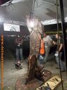 100_1162.jpg