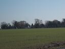 100_1794.JPG