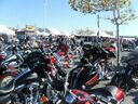 SAM_5055-640.jpg