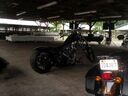 SAM_5159-640.jpg
