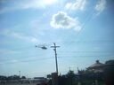 DSCN4003.JPG